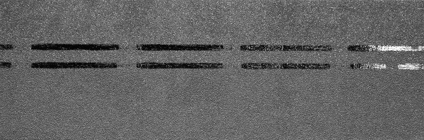 Коньково-карнизная черепица Docke Premium, черника купить в Сухом Логу